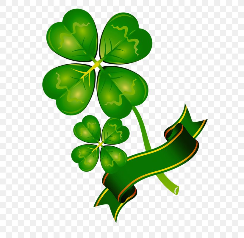 Four-leaf Clover Happiness Luck, PNG, 614x800px, Clover, Branch, Flora, Flowering Plant, Fourleaf Clover Download Free
