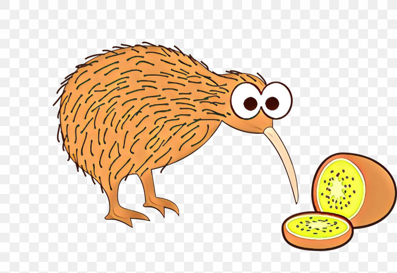 Kiwi, PNG, 1600x1100px, Cartoon, Bird, Domesticated Hedgehog, Erinaceidae, Flightless Bird Download Free