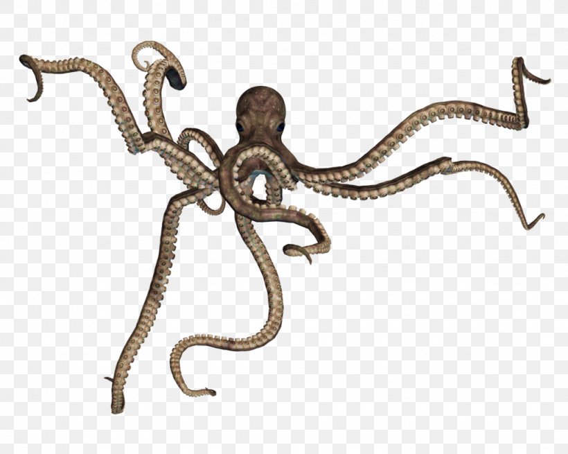 Octopus Squid, PNG, 1024x819px, Octopus, Animal Figure, Body Jewelry, Cephalopod, Enteroctopus Download Free