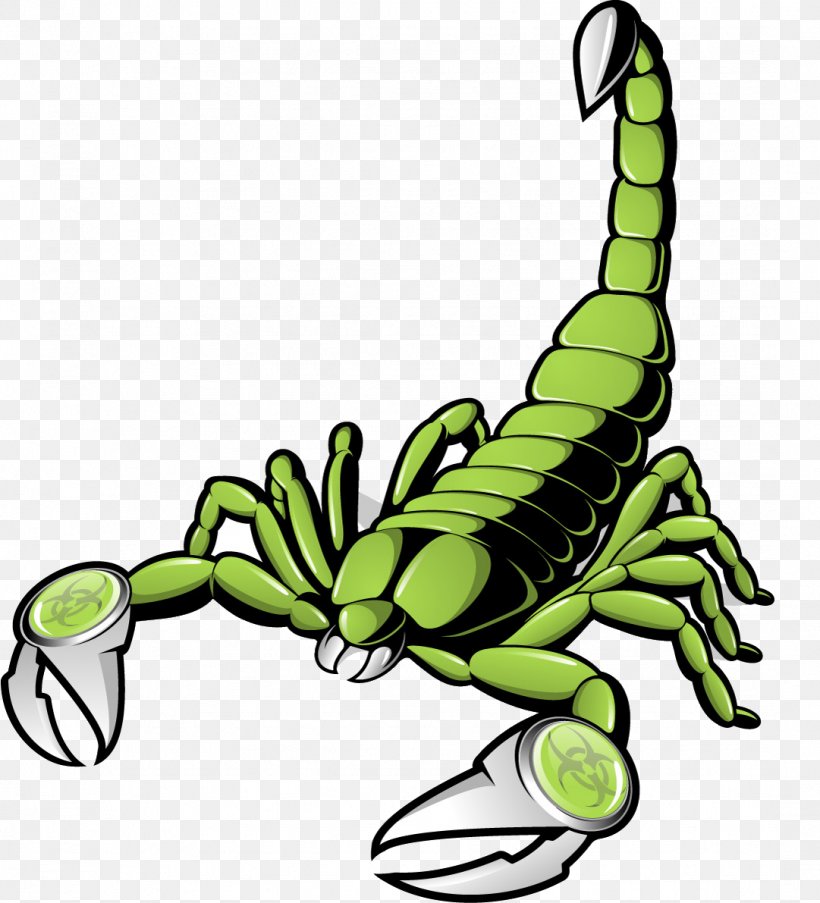 Scorpion Euclidean Vector Clip Art, PNG, 1081x1191px, Scorpion, Arthropod, Artwork, Cdr, Invertebrate Download Free