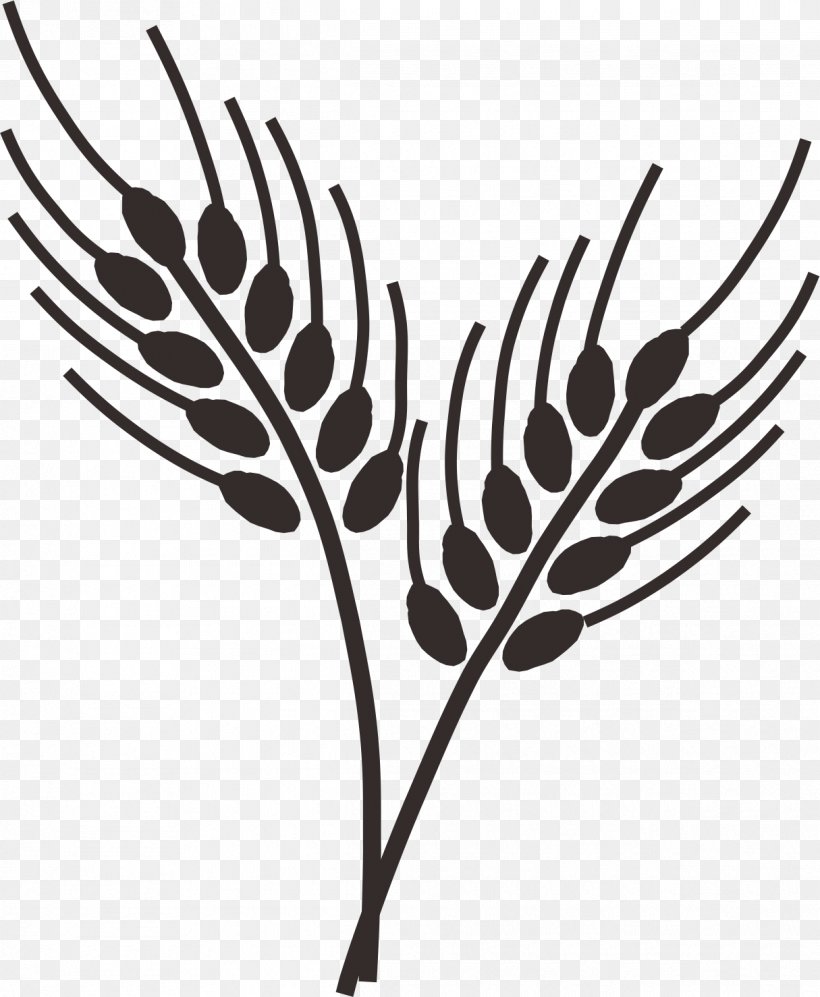 Wheatgrass Drawing Ear Clip Art, PNG, 1215x1478px, Wheat, Barley, Black And White, Branch, Cereal Download Free