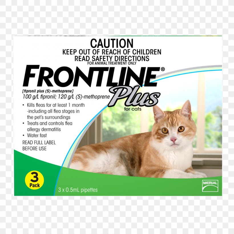 Cat Kitten Flea Treatments Dog Veterinarian, PNG, 1000x1000px, Cat, Carnivoran, Cat Food, Cat Like Mammal, Cat Litter Trays Download Free