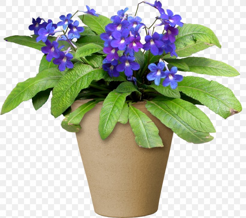 Flowerpot Light Clip Art, PNG, 1156x1024px, Flower, Blue, Borage Family, Brightness, Color Download Free