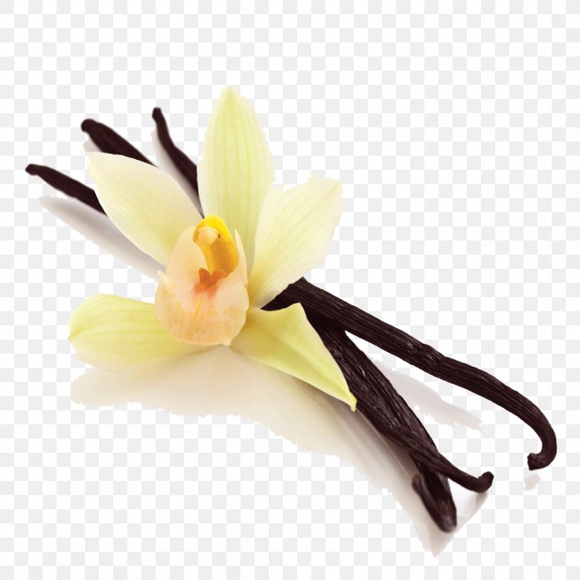 Ice Cream Flat-leaved Vanilla Spice Flavor, PNG, 1103x1103px, Ice Cream, Bean, Cut Flowers, Extract, Flatleaved Vanilla Download Free