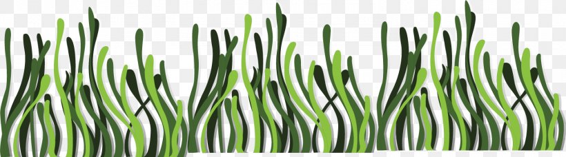 Seaweed Euclidean Vector Deep Sea, PNG, 1501x418px, Seaweed, Algae, Aquatic Plant, Commodity, Deep Sea Download Free