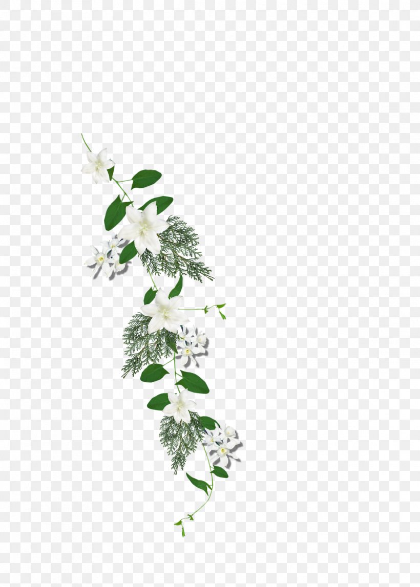 Twig Floral Design Cut Flowers Plant Stem Leaf, PNG, 1143x1600px, Twig, Branch, Cut Flowers, Flora, Floral Design Download Free