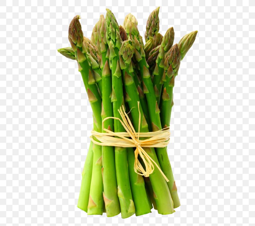 Asparagus Raw Foodism Health Vegetable, PNG, 482x728px, Asparagus, Broccoli, Commodity, Cooking, Diet Download Free