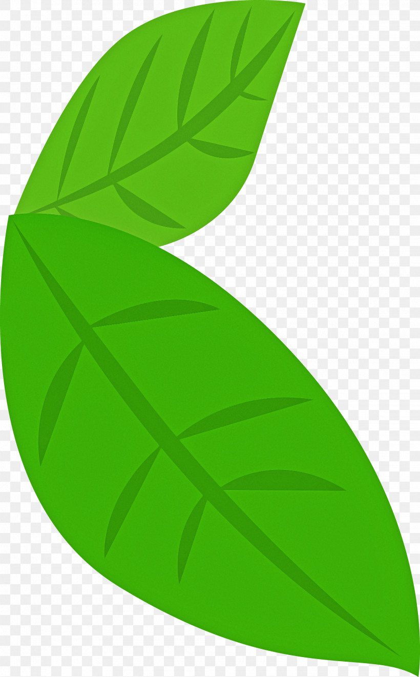 Banana Leaf, PNG, 2270x3659px, Leaf, Banana Leaf, Green, Logo, Plant Download Free