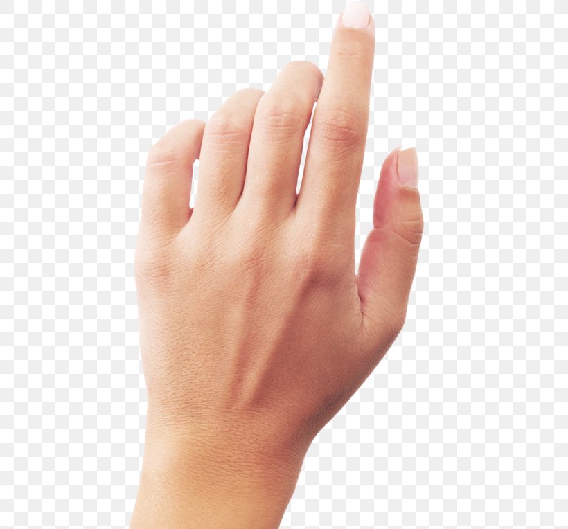 Hand Png 500x764px Hand Finger Fingerprint Gesture Hand