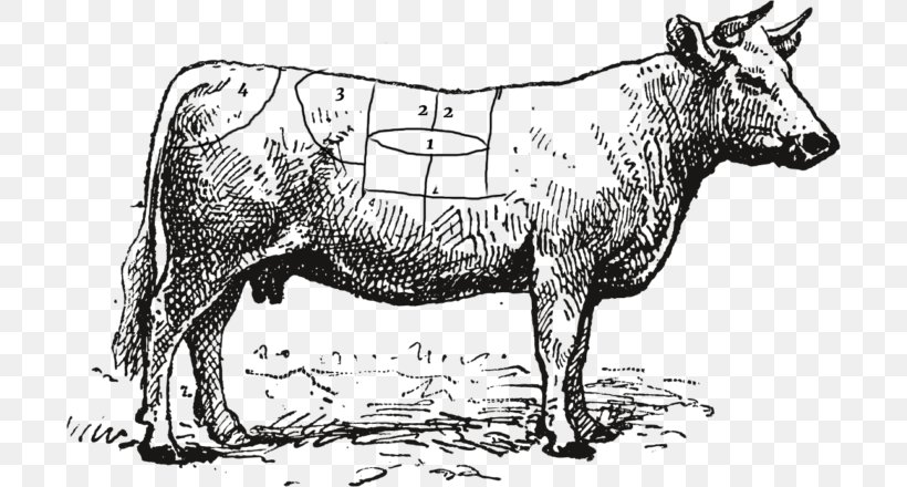 Beef Cattle Charolais Cattle Steak Meat, PNG, 700x440px, Beef Cattle, Beef, Black And White, Bull, Cattle Download Free