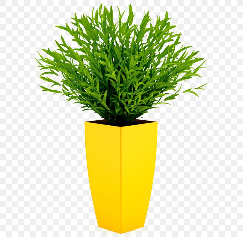 Cinema 4D Flowerpot 3D Computer Graphics Houseplant Mental Ray, PNG, 800x800px, 3d Computer Graphics, 3d Modeling, Cinema 4d, Autodesk 3ds Max, Cgtrader Download Free