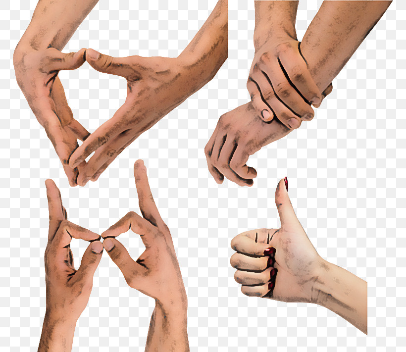 Holding Hands, PNG, 768x711px, Hand, Arm, Finger, Gesture, Holding Hands Download Free