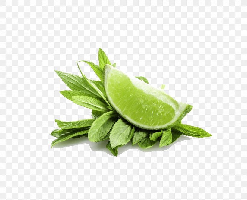 Peppermint Water Mint Mentha Spicata Lime, PNG, 1220x987px, Peppermint, Auglis, Citrus, Food, Fruit Download Free