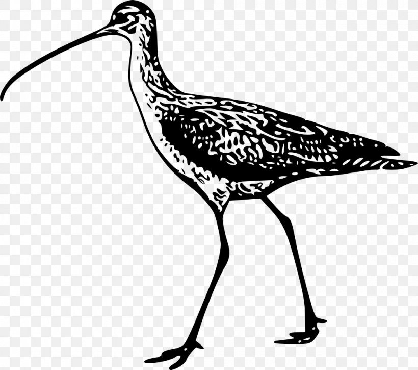 Bird Line Art Drawing Clip Art, PNG, 1000x885px, Bird, Art, Art Museum, Artwork, Beak Download Free