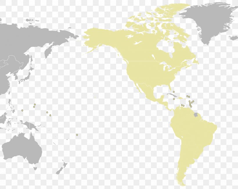 Human Mitochondrial DNA Haplogroup Investment Haplogroup K, PNG, 1280x1018px, Haplogroup, Asset Allocation, Bond, Capital, Ecoregion Download Free