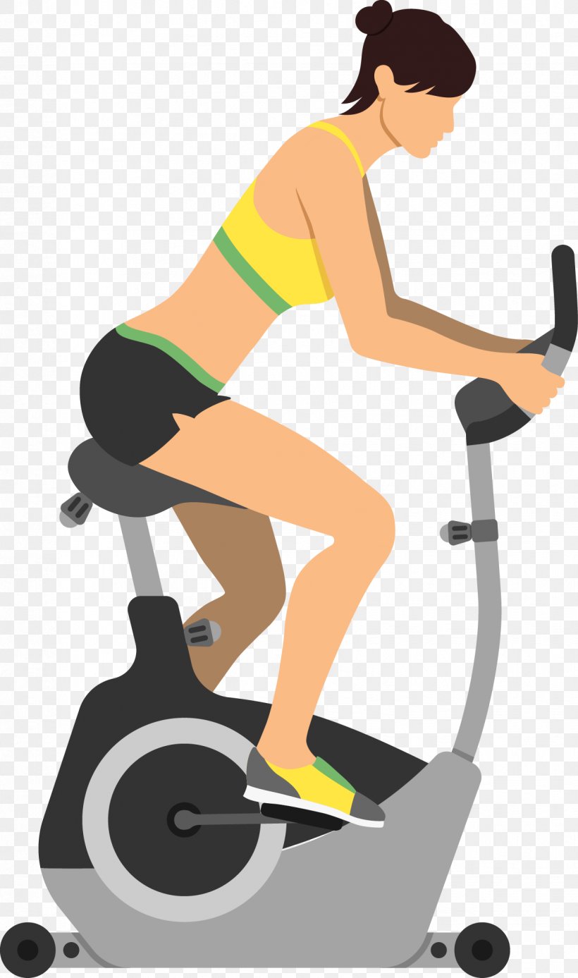 Stationary Bicycle Physical Exercise Bodybuilding Treadmill, PNG, 1223x2070px, Watercolor, Cartoon, Flower, Frame, Heart Download Free