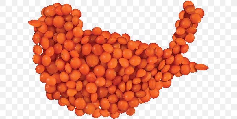 Lentil Common Bean Cooking Football Orange, PNG, 629x412px, Lentil, Ball, Bean, Commodity, Common Bean Download Free