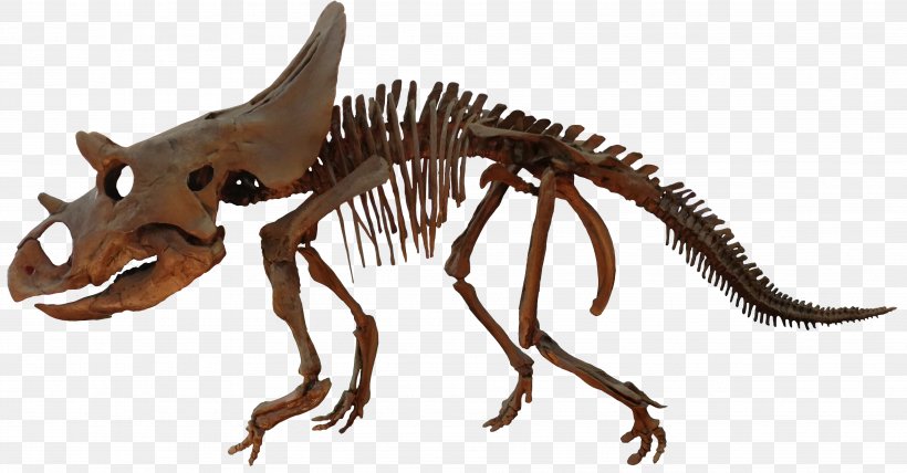 Agujaceratops Velociraptor Ceratopsia Brachyceratops Late Cretaceous, PNG, 3803x1985px, Agujaceratops, Animal Figure, Big Bend National Park, Bone Bed, Brachyceratops Download Free