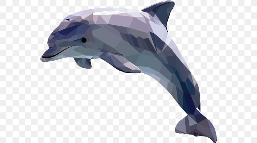 Dolphin Art Illustrator Illustration, PNG, 564x458px, Dolphin, Art, Cartoon, Common Bottlenose Dolphin, Fauna Download Free
