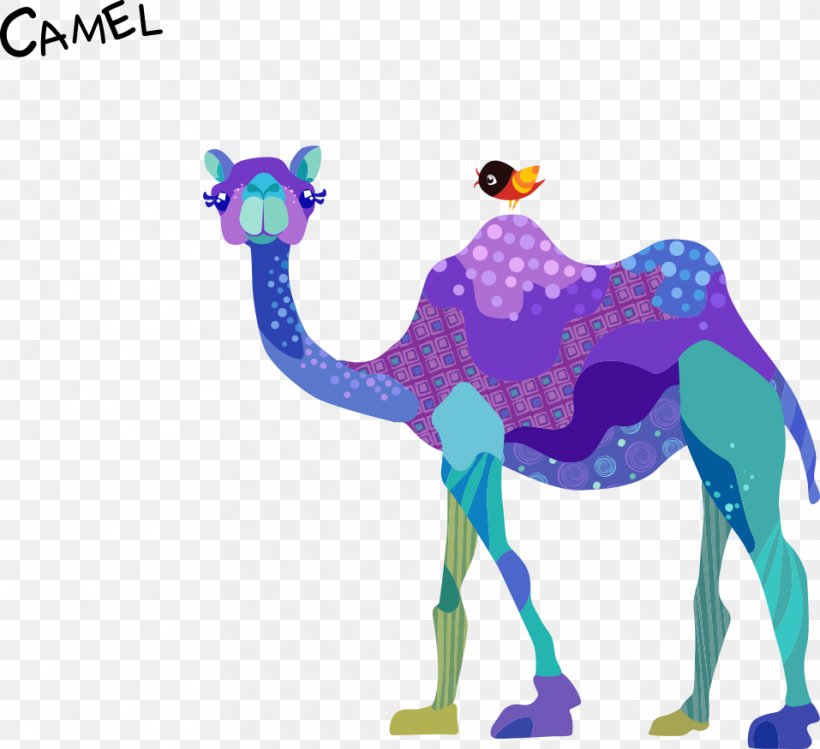 Dromedary Bactrian Camel Drawing Cartoon, PNG, 957x875px, Dromedary, Arabian Camel, Art, Bactrian Camel, Camel Download Free