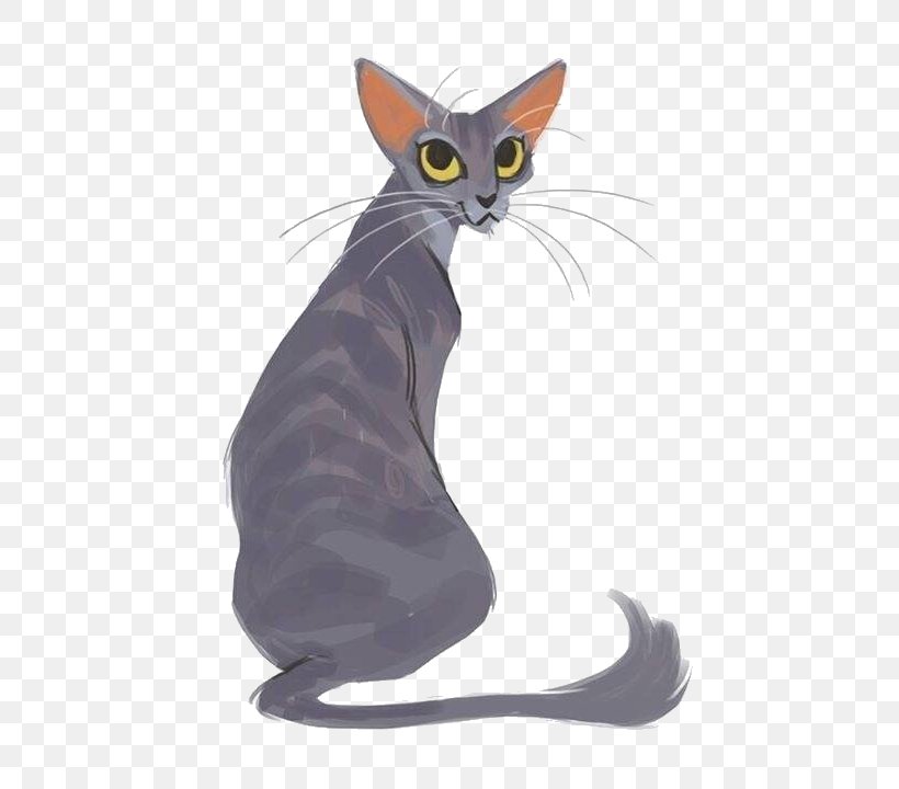 Oriental Shorthair Abyssinian Egyptian Mau Siamese Cat Kitten, PNG, 559x720px, Oriental Shorthair, Abyssinian, American Wirehair, Animation, Art Download Free