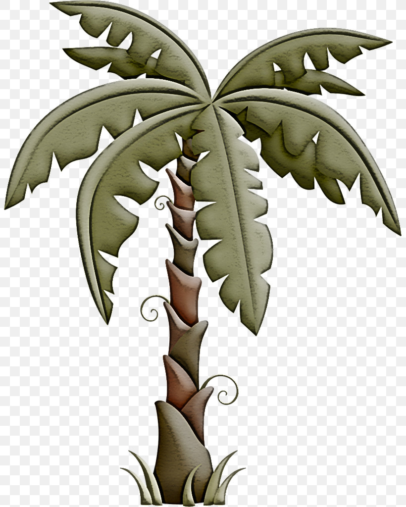 Palm Tree, PNG, 803x1024px, Leaf, Flower, Palm Tree, Perennial Plant, Plant Download Free