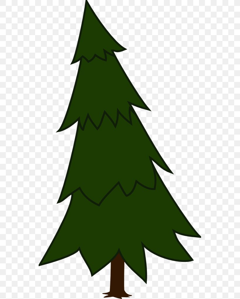 Pine Tree Spruce Clip Art, PNG, 555x1022px, Pine, Beak, Bird, Black Pine, Branch Download Free