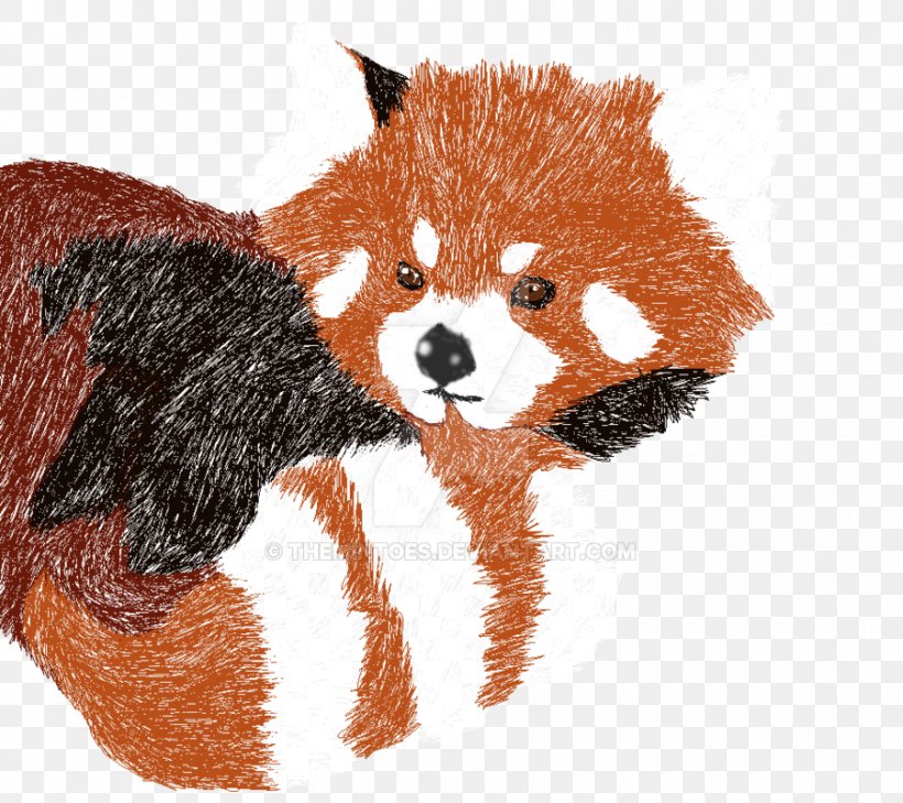Red Fox Red Panda Dog Whiskers, PNG, 900x801px, Red Fox, Animal, Canidae, Carnivora, Carnivoran Download Free
