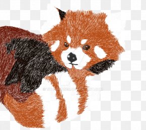 Red Panda Giant Panda Clip Art Png 1024x590px Red Panda Animal Bear Carnivoran Cartoon Download Free