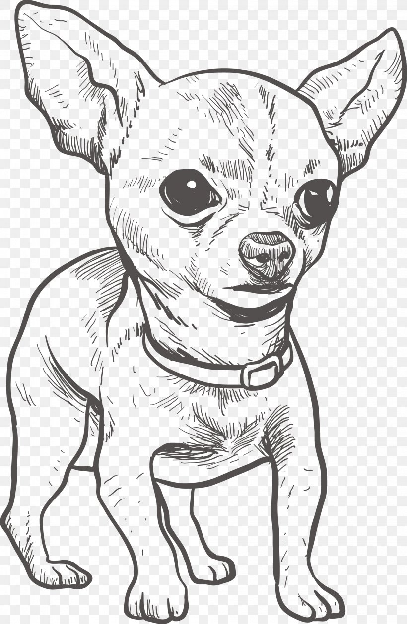 Chihuahua Puppy Drawing Illustration, PNG, 1996x3063px, Chihuahua, Animal, Artwork, Black And White, Carnivoran Download Free