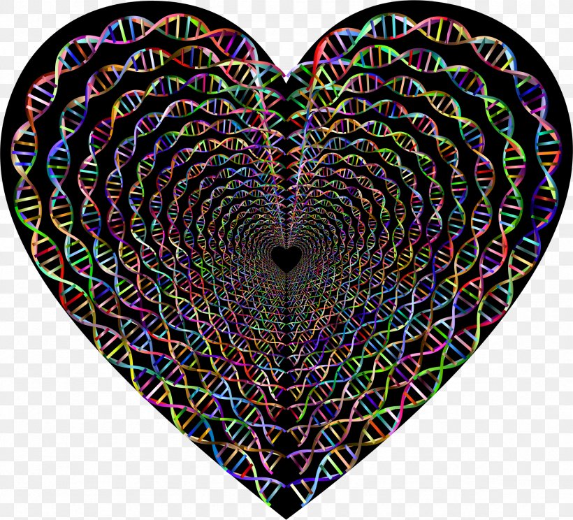 DNA Heart Nucleic Acid Sequence Biologist Nucleic Acid Double Helix, PNG, 2356x2138px, Watercolor, Cartoon, Flower, Frame, Heart Download Free