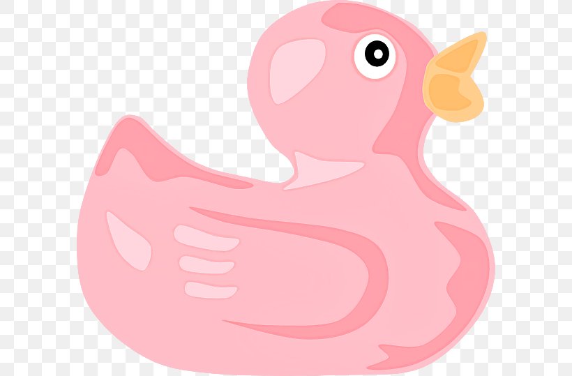 Pink Bird Rubber Ducky Water Bird Cartoon, PNG, 600x539px, Pink, Bird, Cartoon, Duck, Ducks Geese And Swans Download Free