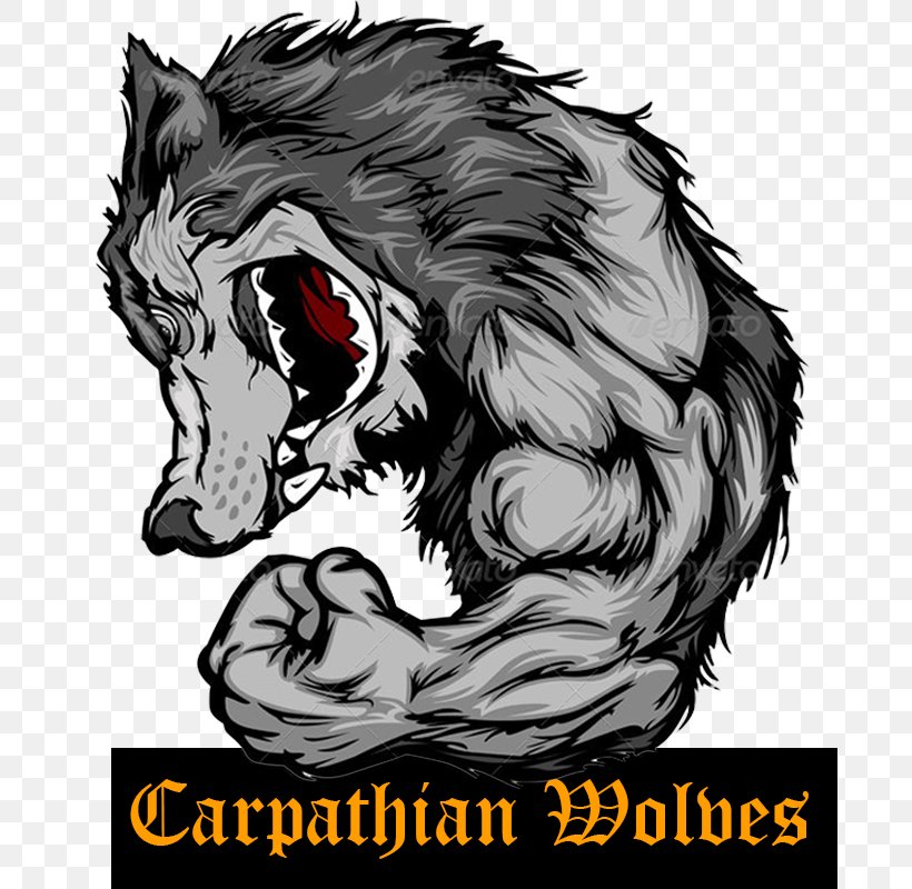 Siberian Husky Lion Coyote, PNG, 800x800px, Siberian Husky, Arm, Black Wolf, Carnivoran, Cat Like Mammal Download Free