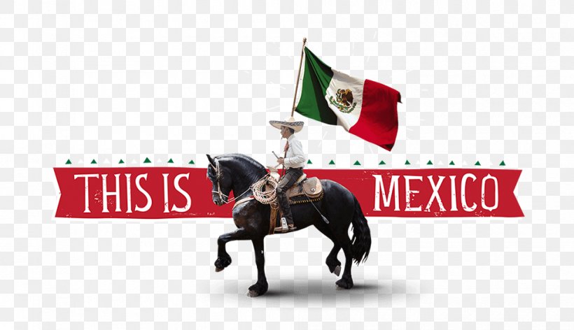 Mexico United States Of America Horse South America Logo, PNG, 990x570px, Mexico, Advertising, Americas, Brand, Country Download Free