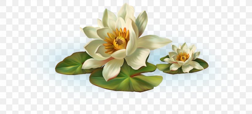 Nelumbo Nucifera Sacred Geometry Clip Art, PNG, 3034x1373px, Nelumbo Nucifera, Artificial Flower, Blog, Bonne Fete, Cut Flowers Download Free
