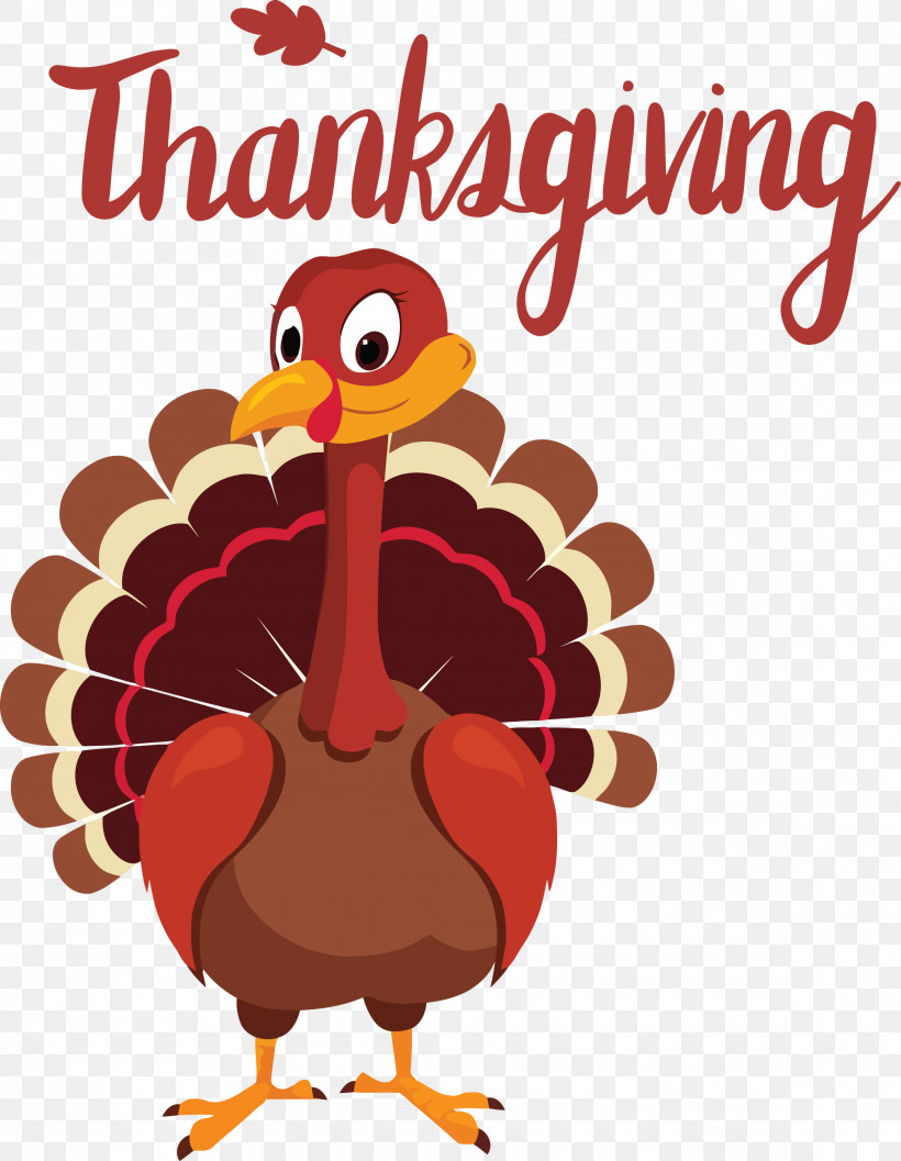 Thanksgiving, PNG, 2327x3000px, Thanksgiving, Black Turkey, Chicken, Christmas Turkey, Grilling Download Free