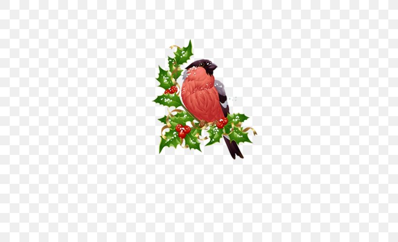 Bird Technology Cygnini Eurasian Bullfinch, PNG, 500x500px, Bird, Aquifoliaceae, Beak, Branch, Cardinal Download Free