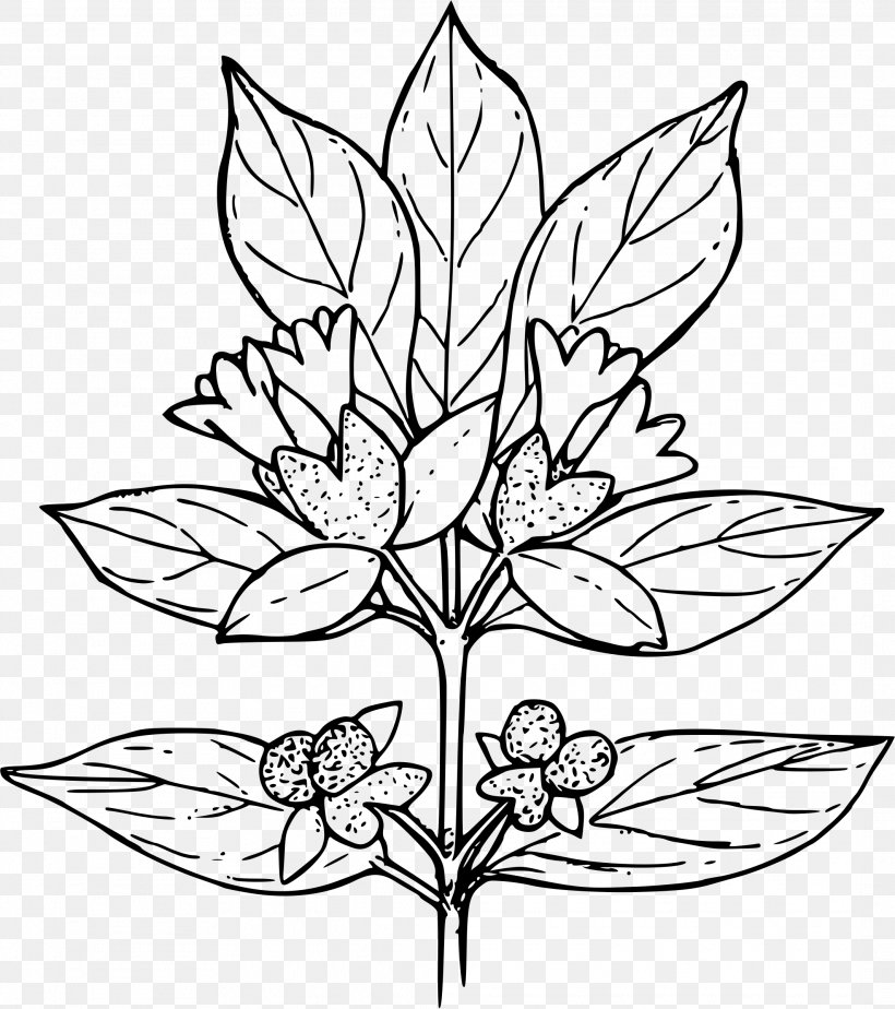 Coloring Book Plant Child Shrub, PNG, 2128x2400px, Coloring Book, Artwork, Black And White, Book, Branch Download Free