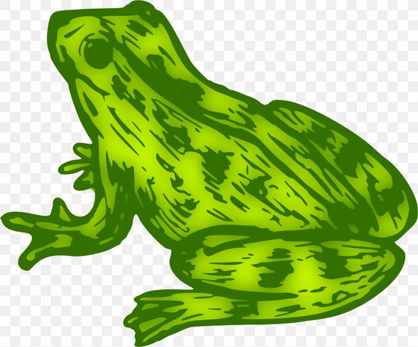 Toad True Frog Clip Art Kermit The Frog, PNG, 2400x1995px, Toad, Amphibian, Color, Drawing, Fauna Download Free