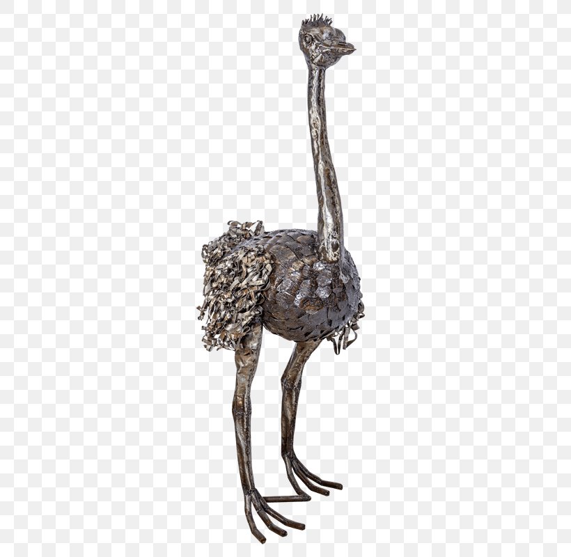 Common Ostrich Sculpture Bird Statue, PNG, 800x800px, Common Ostrich, Animal, Art, Bird, Drawing Download Free