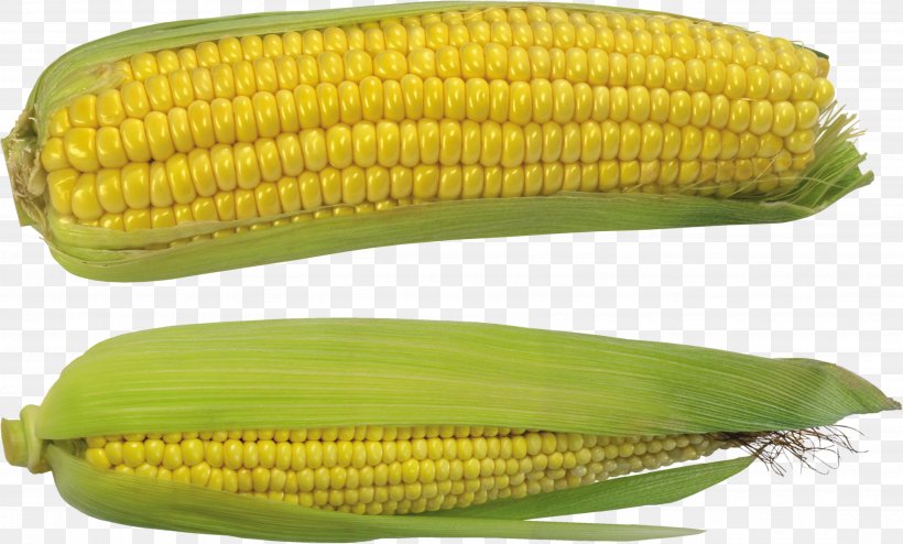 Corn On The Cob Maize Sweet Corn Corn Kernel, PNG, 3574x2154px, Corn On The Cob, Commodity, Corn Kernel, Corn Kernels, Depositfiles Download Free