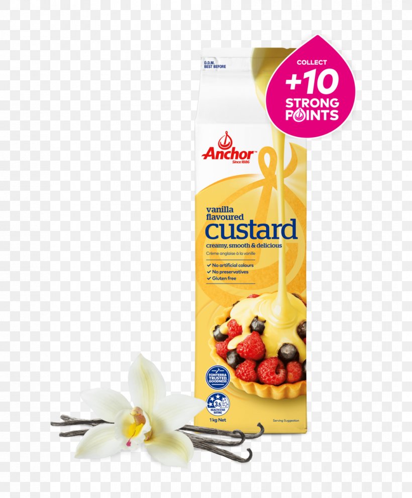 Custard Food Flavor Vanilla Cream, PNG, 1057x1279px, Custard, Com, Cream, Dessert, Flavor Download Free