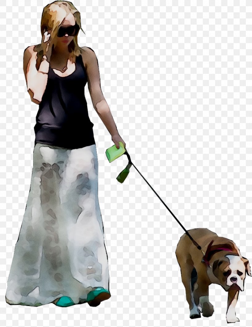 Dog Breed Obedience Training Leash Dog Walking, PNG, 880x1141px, Dog, Animal Figure, Breed, Canidae, Carnivore Download Free