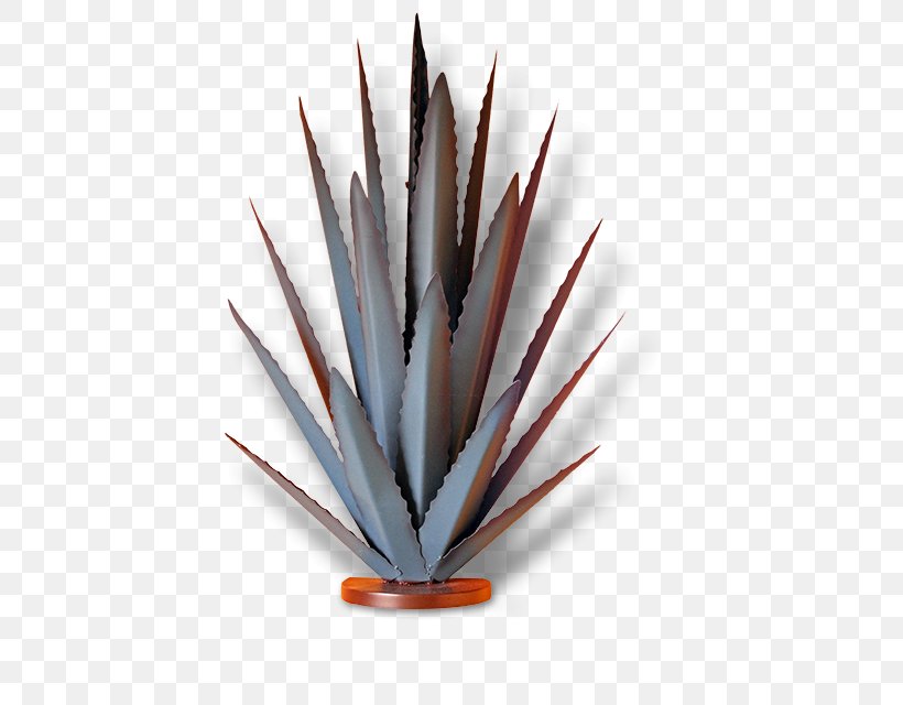 Agave Azul Mexican Cuisine Tequila Jalisco Blue Agave, PNG, 427x640px, Agave Azul, Agave, Blue Agave, Cuisine, Ingredient Download Free