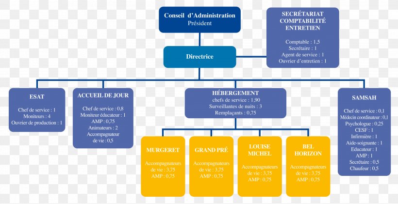 Organizational Chart Établissement Ou Service Social Ou Médico-social Établissement Et Service D'aide Par Le Travail Voluntary Association, PNG, 3104x1596px, Organizational Chart, Brand, Communication, Diagram, Disability Download Free