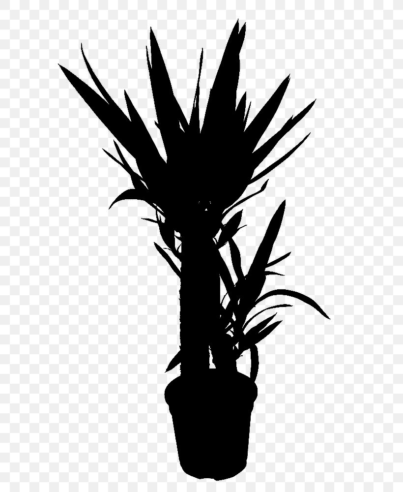 Palm Trees Plant Stem Flower Leaf Silhouette, PNG, 667x1000px, Palm Trees, Arecales, Blackandwhite, Branching, Flower Download Free