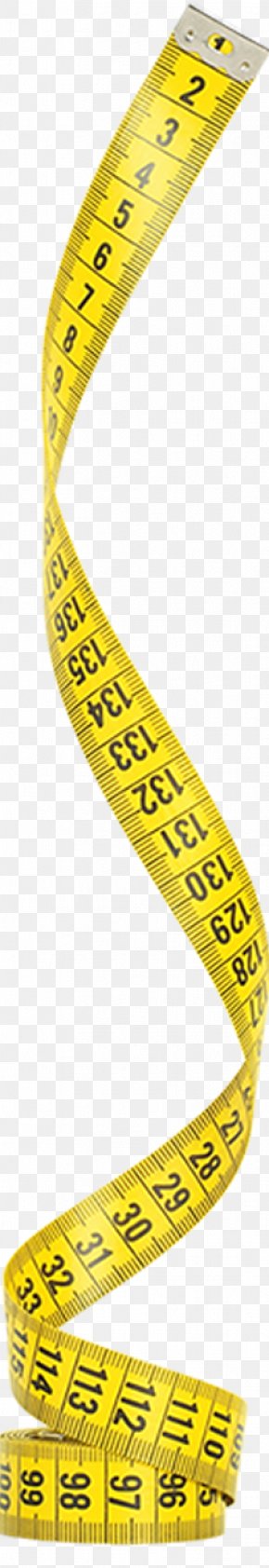 Measuring Scales Tape Measures Measurement Weight Loss Clip Art, PNG ...