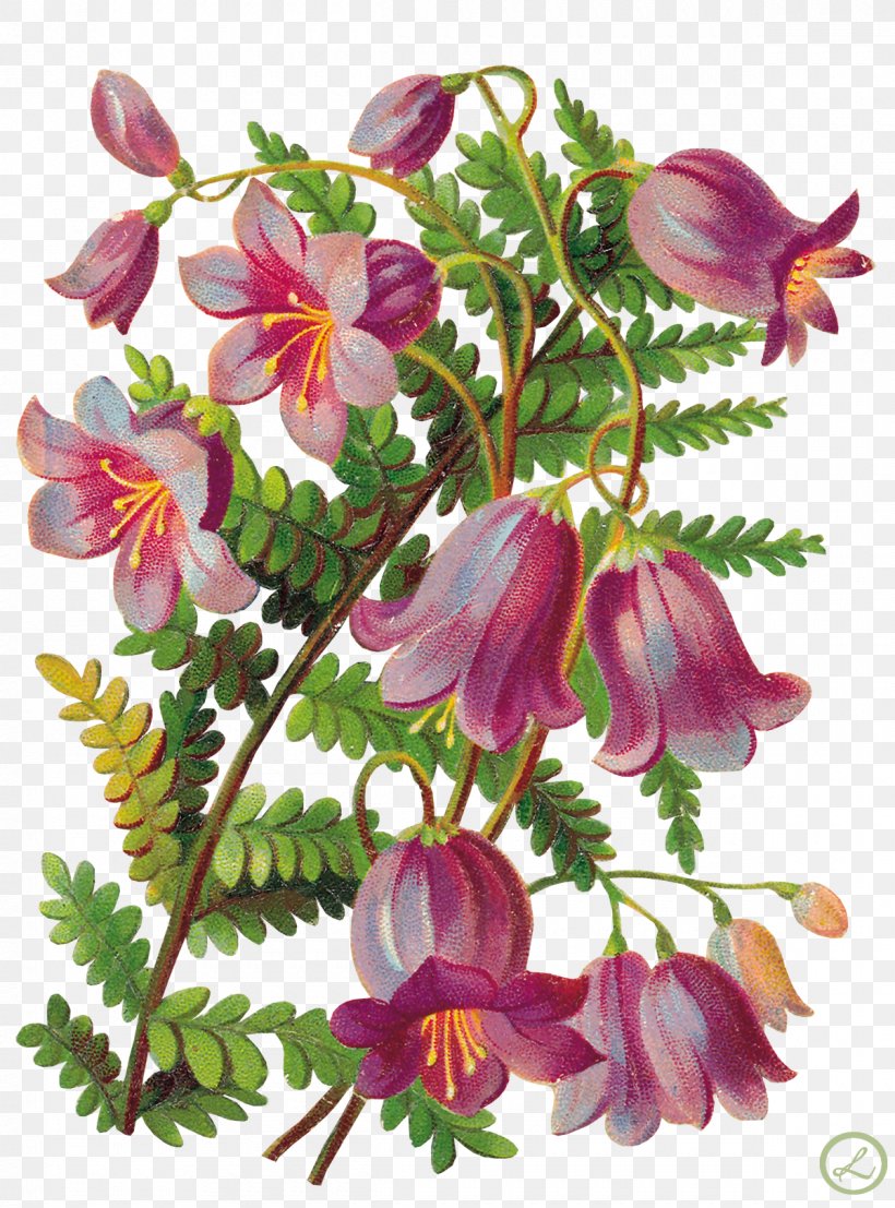 Decoupage Flower Art, PNG, 1200x1620px, Decoupage, Annual Plant, Art, Blume, Flora Download Free