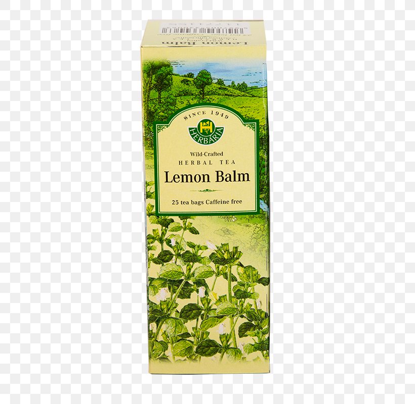 Flowering Tea Herb Hibiscus Tea Green Tea, PNG, 482x800px, Tea, Common Nettle, Flowering Tea, Food, Grass Download Free