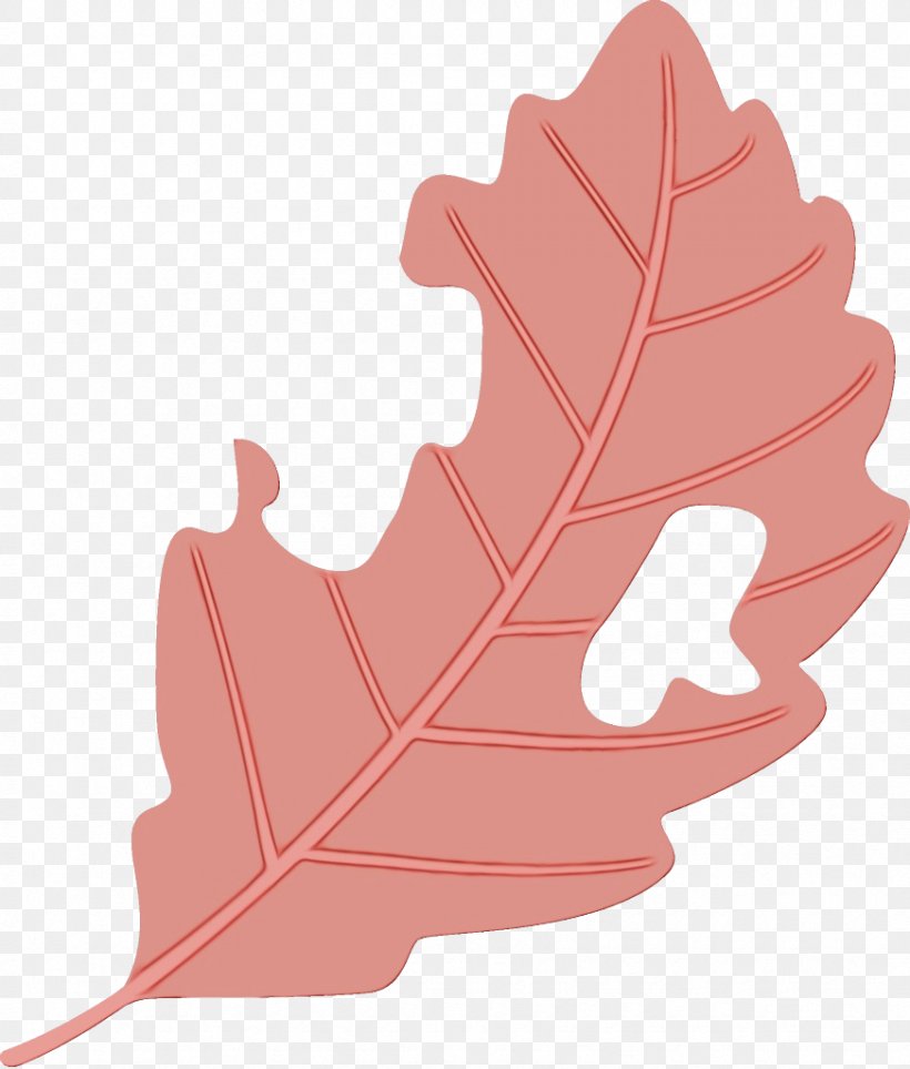 Maple Leaf, PNG, 872x1026px, Watercolor, Leaf, Maple Leaf, Paint, Pink Download Free